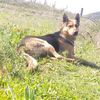 kamel.lounici