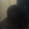 blue_diamond7561