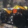 that.yellow.renegade