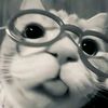 esther.3557