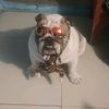 mp.pancho.zavala