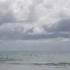 silvia.sandroni