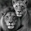 user844422127