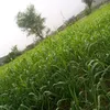 user40286202202492
