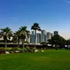 flexplexi.13