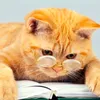 literarios0