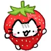 starberrycattehe
