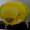 budgie_hihi