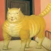 kindainactive1