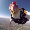 spiegazi0n1