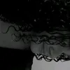 sophia_tzr