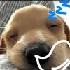 thanh_danh091