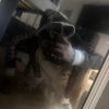 withhood_kari2