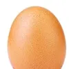 egg_notofficial