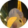 ratatosanji