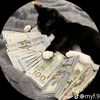 holden_king24