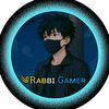 rabbigemar10k