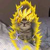 thiago_gamerxd14