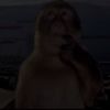itssnott_3lana0