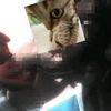 fabiola.fabiola.s1