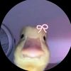 stfupb6