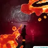 shadowleodoor
