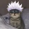 catcute003.com