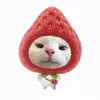 lam_ngoc_tran33