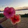 elyssa_j9495