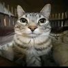 el_agrio_13451