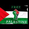 kedir.mohammed419