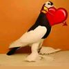 user4980631554828