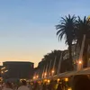 celestehollez8