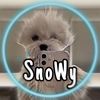 snowy.lk