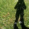 la_iris49