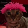 meowkon999