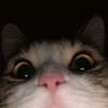 ramileismayhlva_