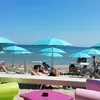 auroraregina