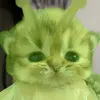 huh_huh15y