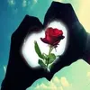 user88826710673938