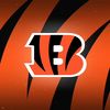 bengals436
