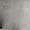 bocilepep2267_