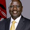 ton254669