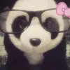 defnotnicow