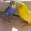 maria._.213