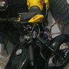 gggaragr