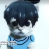 nhincaicuntj