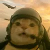 mikehawk872