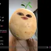 gloosy_zvgaj