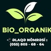 bioorqaniktebii